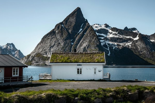 Toitures végétalisées : avantages et solutions d'iko